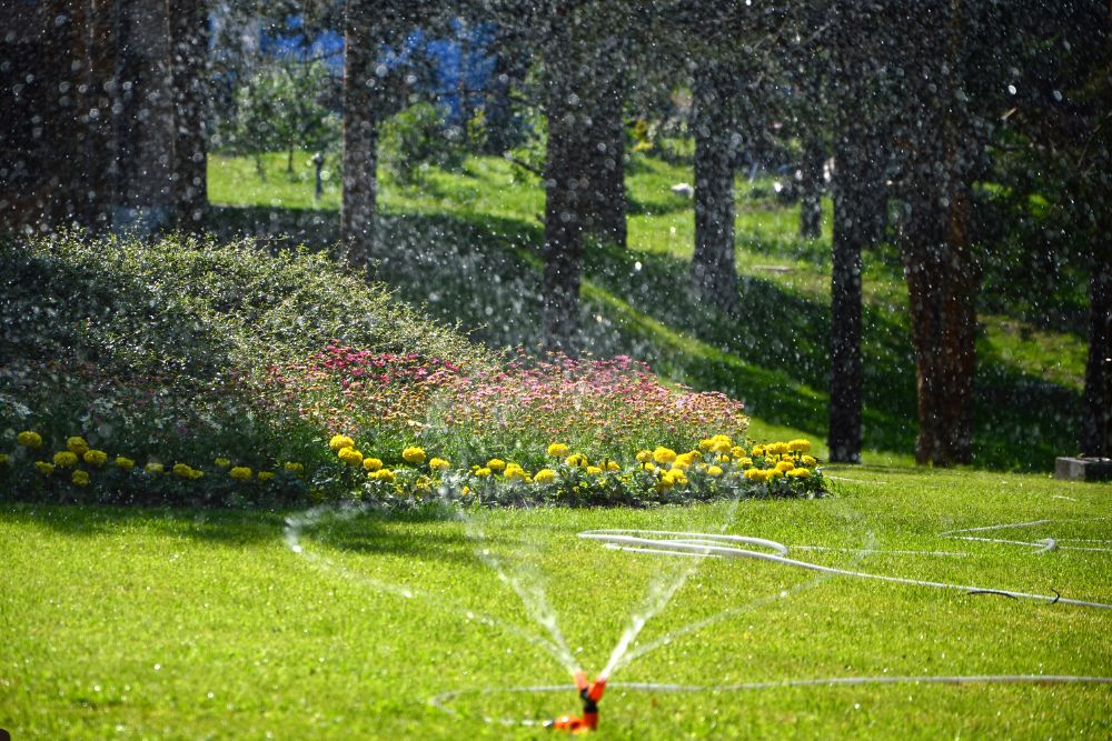 A sprinkler sprays water over a lush green lawn, creating a refreshing scene on a sunny day.