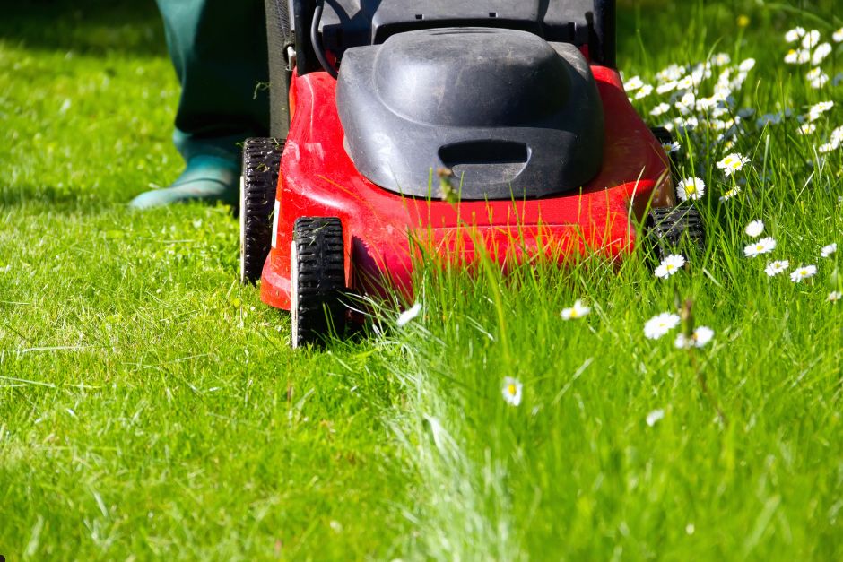 A person mowing grass with a red lawn mower in a green yard under clear blue skies.