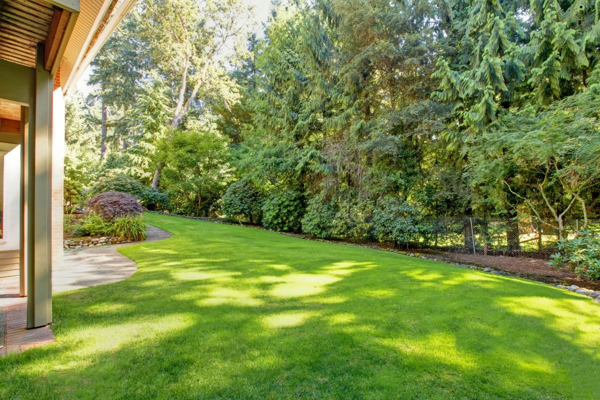 Keeping Lawn Green