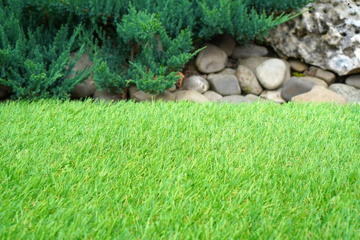 Turf Materials