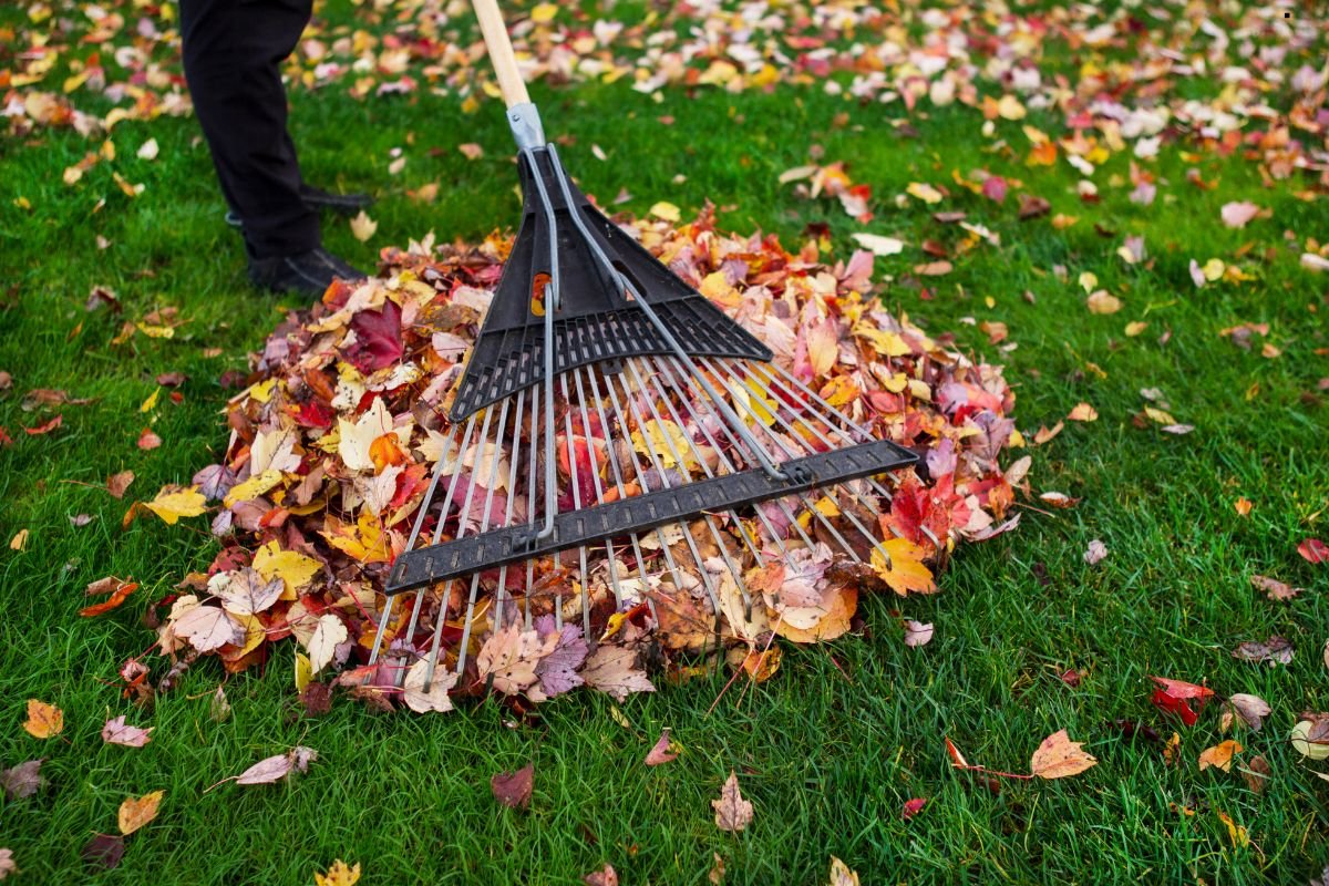 Maintenance for Long-Lasting Lawn 